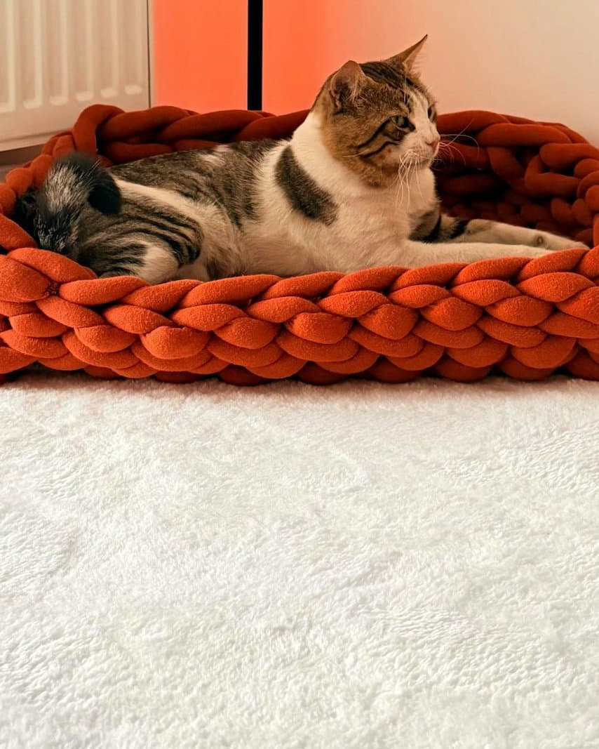 Pleteni krevet za mačku — slika 3